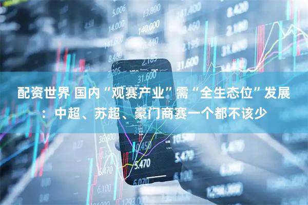 配资世界 国内“观赛产业”需“全生态位”发展：中超、苏超、豪门商赛一个都不该少